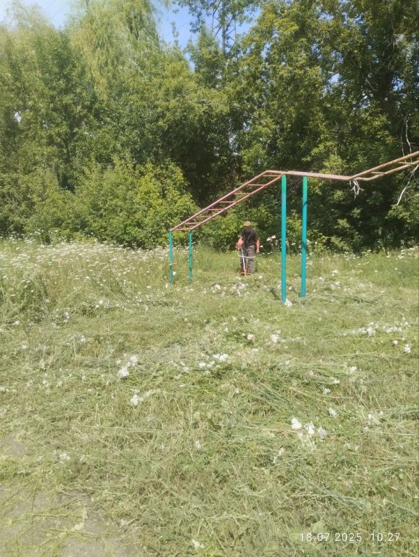 В городском округе Дебальцево продолжаются работы по покосу сорной и карантинной растительности