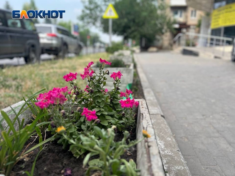 Доброго утра, Донецк!. В пятницу 18 июля в столице ДНР ясно, местами переменная облачность