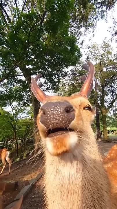 Когда заходишь с улицы в помещение с кондиционером