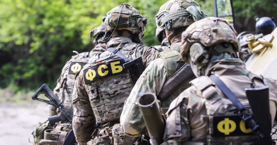 Заминированный схрон с иностранным оружием нашли в Селидово в ДНР