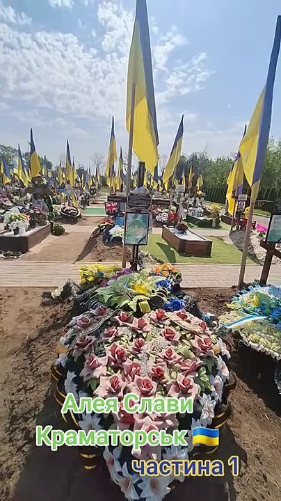 ������ �������: ��������� �� �������� ������������ �������� ���������� ������������ � �����������