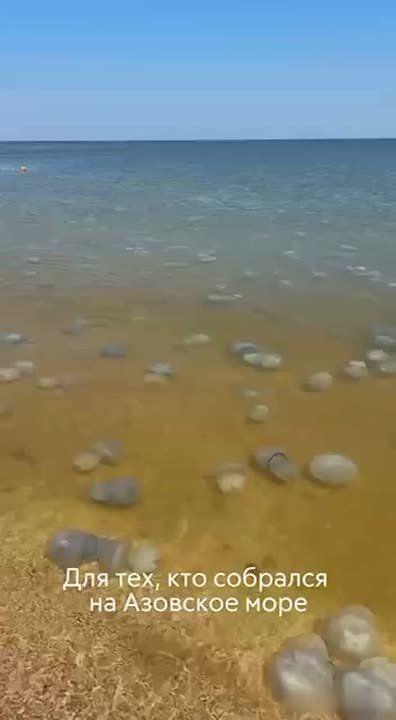 �� ������ ��������� ���� � ��������� ���������� �����