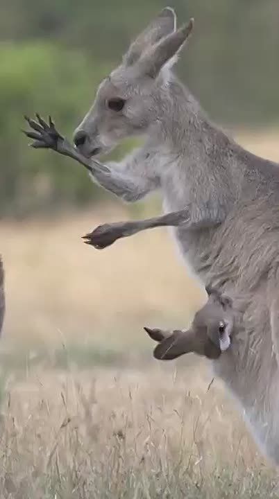 ������ ����, ���������!. ����� ����������� ���� ����� �������� ���������� �������� � �������� �������������! National Geographic ����� ������ ���� � ����� ���������� ��������, �������������� �� ���������� ���� ������...