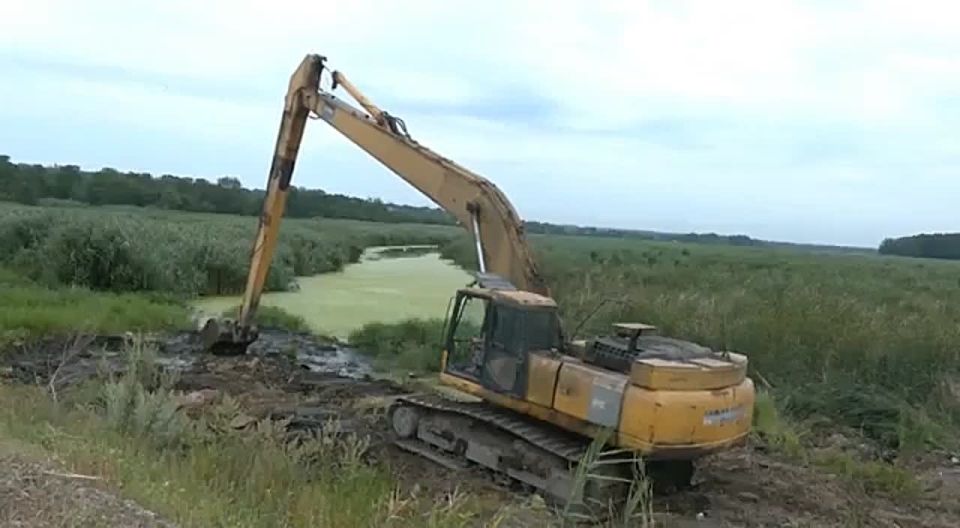 ���� ����: ������ ��� ����� ������ �� ����