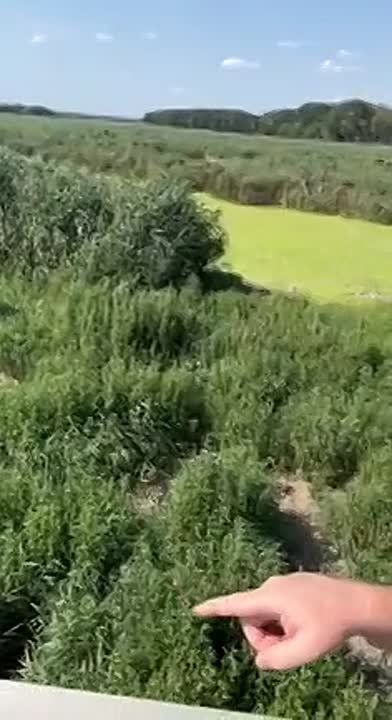 � ������� ����� ��� ����� ������� ������ ������� ��������� � ������� ������������� ��� � ������������������ �������������, � ���� �������� ��� ��� ��� ���������, ������� �������� �������� ��������, ����������� � �����...