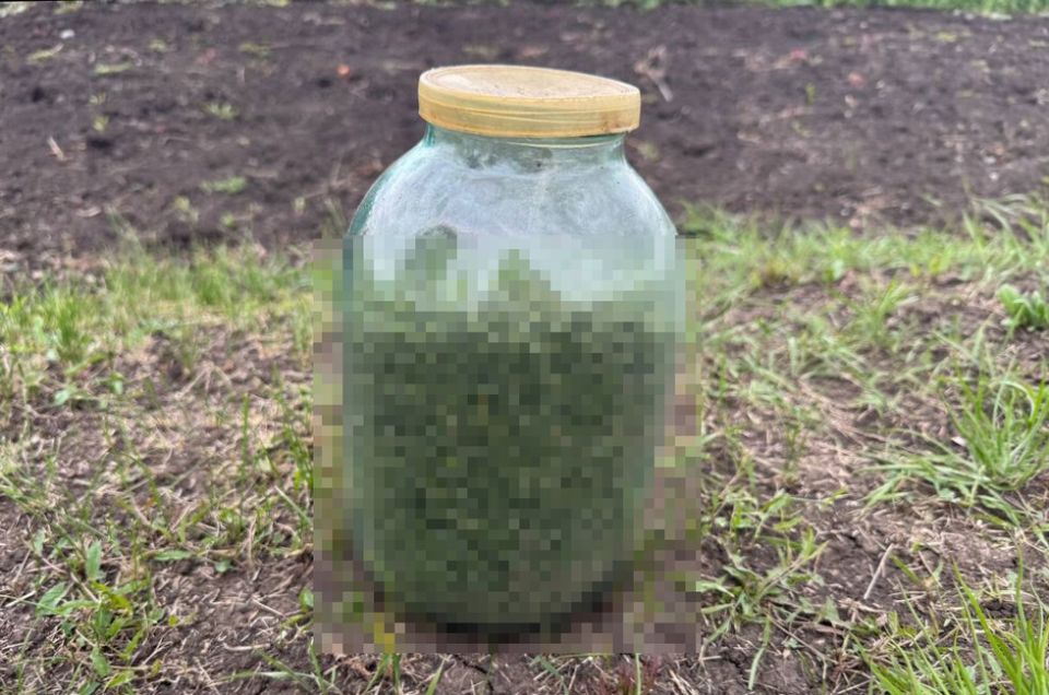 Житель Волновахи гулял по улице с трехлитровой банкой каннабиса