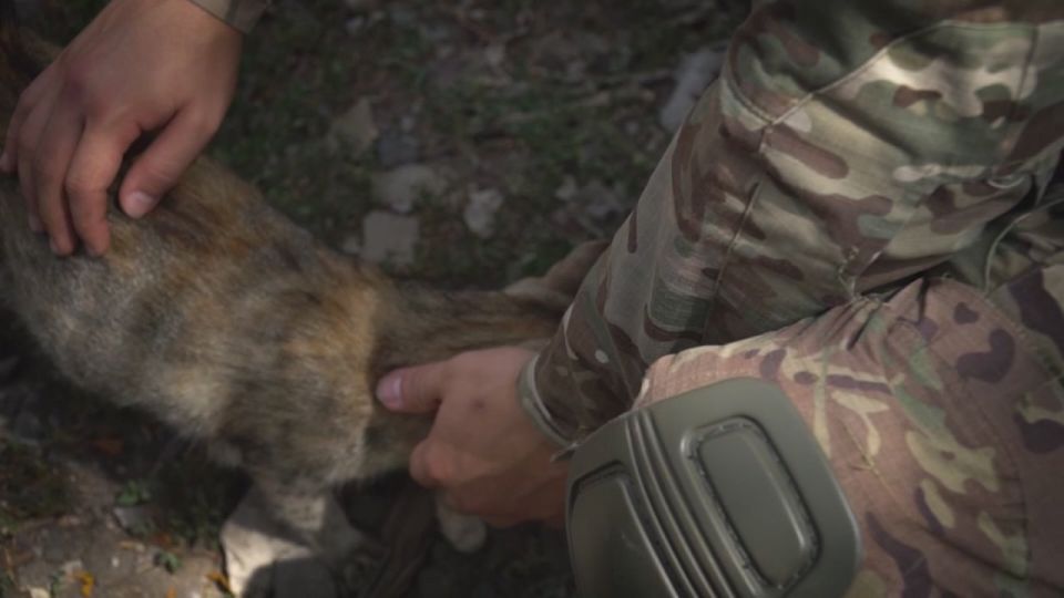 «Спасибо вам, ребята, что приехали»: дружинники из Донецка привезли гуманитарку жителям Красногоровки