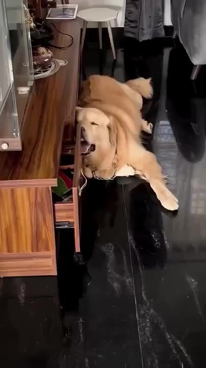 ����������� �� ����� - �������� �� ������� ���