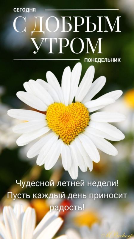 #доброе_утро