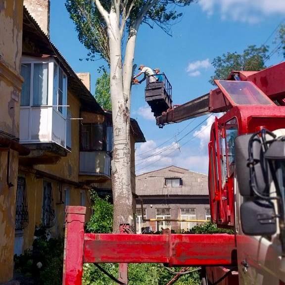 ������ ��������: ������� ��������� ��� �������� ����������� ������������� ������ 21 ����