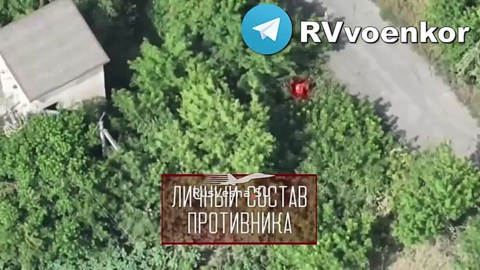 Ожесточённые бои у Покровска: «тважные» продолжают массовое уничтожение техники и живой силы ВСУ