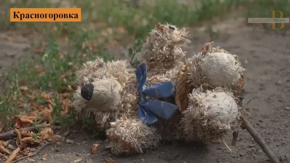 “Бабушки хотели здесь столы накрыть