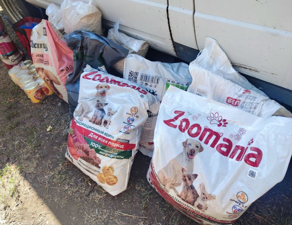 ������ � ������������: ���� �������� � ���� �������� �������� ������������� ����� ��� �����