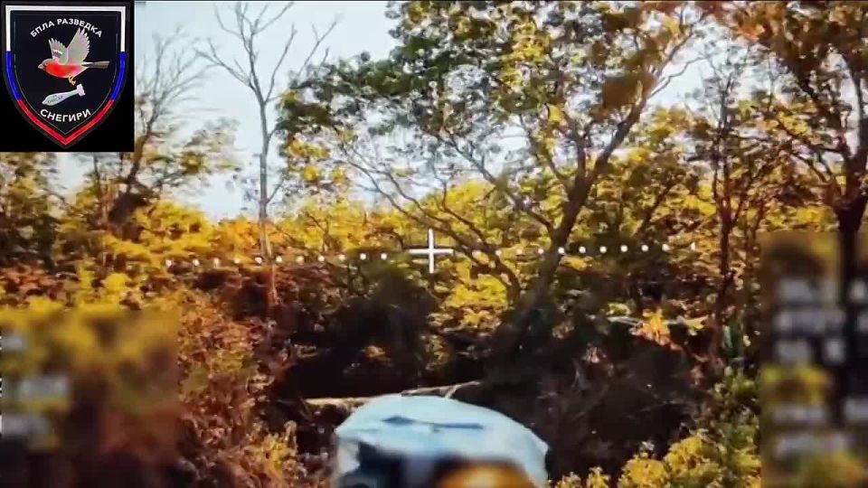 ������ ������ ����������� 37 ��������� ����������� �������������� ������� ����������� "������" �� �� �� �������, ������� �� ��������