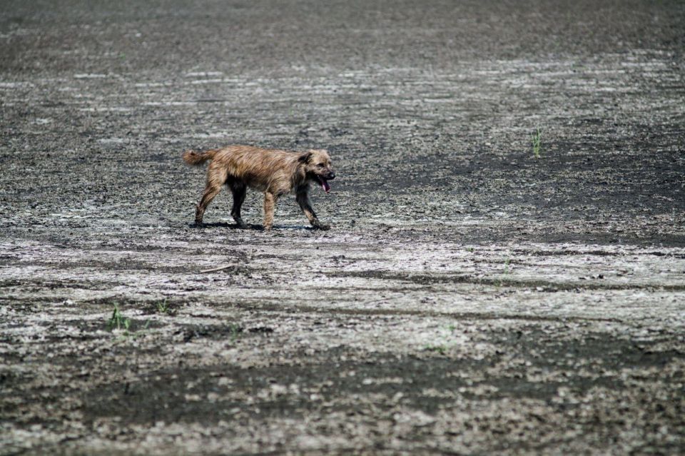 ����� ��������� �������������� �������������, ������� ������ ����� ������ � ���