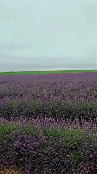 ������������ �������� � ���������� ����