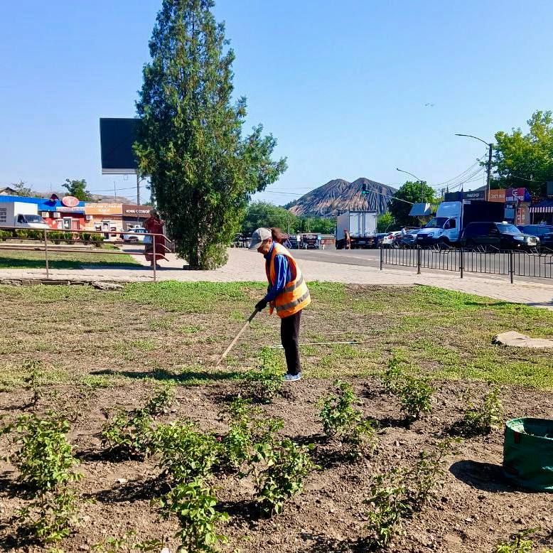 ������ ��������: ������� �� ��������������� ������������� ������ ��� ���� ������� ������������� � ������