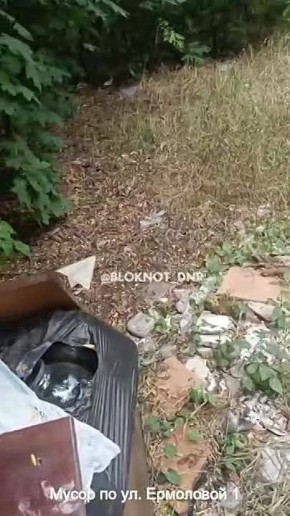 «Плату за вывоз мусора и коммуналку повысили, но никто ничего не убирает»