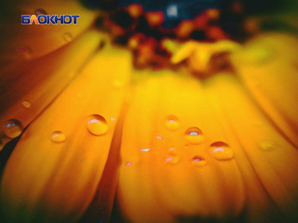 ������� ����, ������!. � ����� 23 ���� ��������� ������� � ������� ��� ����� � ������ ����� �������