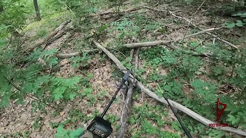 ������������ ������������� ������ ������� ������� �������� �������������� ����������