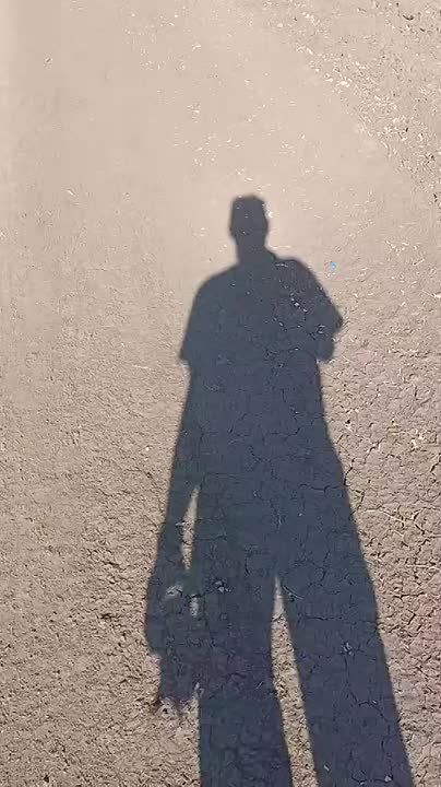 ������ �������: ��� ���� ������������ �� ����-�������� ����������� ���������� ��������������� International MaxxPro ������������� ������������