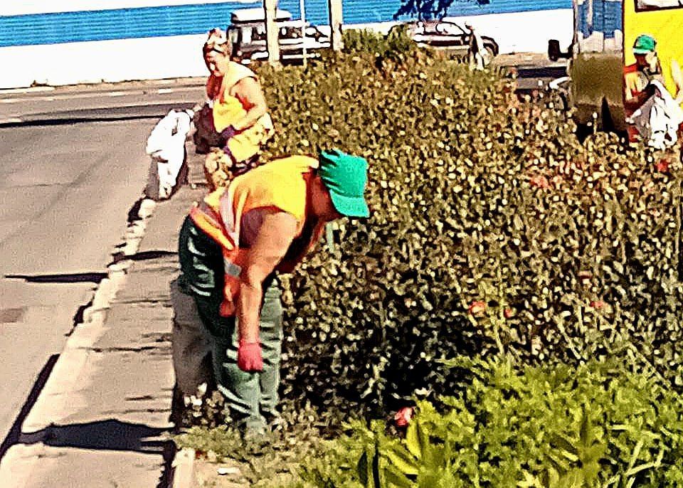 ���� ������: ����������� ��� ���� ��� "������� ������������� �.�������" ��������� �������� ������ �� ��������������� � ������������ ������