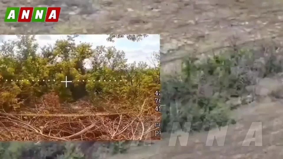 ������ FPV-������ ����� ����������� ����� ��������� ������� ���