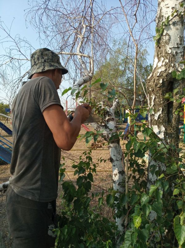 Силами коммунальных предприятий были проделаны работы по наведению чистоты и порядка на территории г. Моспино: