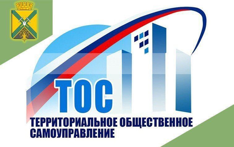 Территориальное общественное самоуправление в муниципальном городском округе