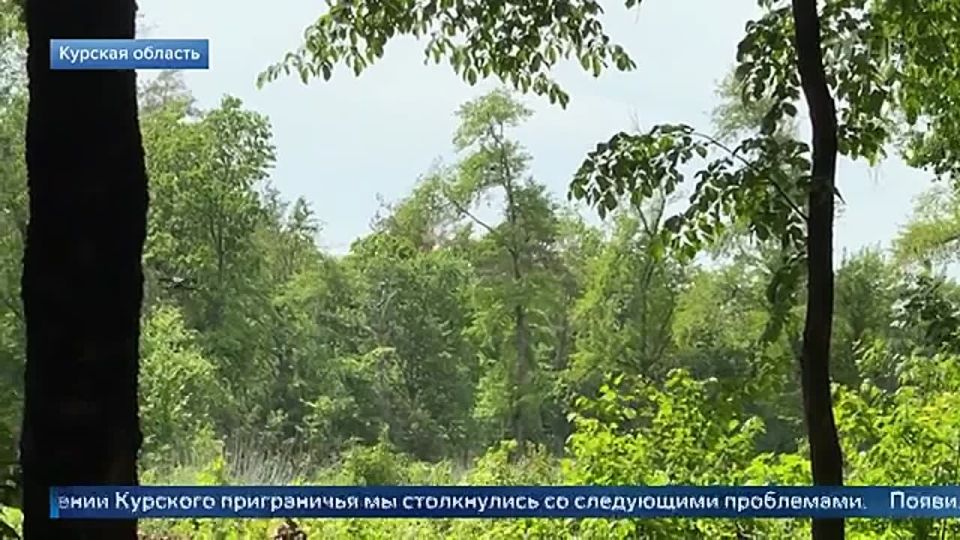 ������ �������: ��� �������� � ���������� ��, ������������� ����������� ����� "�����" ���������� �������� ������� �������