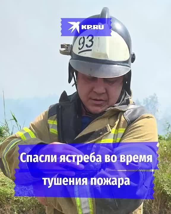 ������ � �������� ����� �������� �� ���������: � ��� ������ �������� �� ���� ��������� ������������ ������