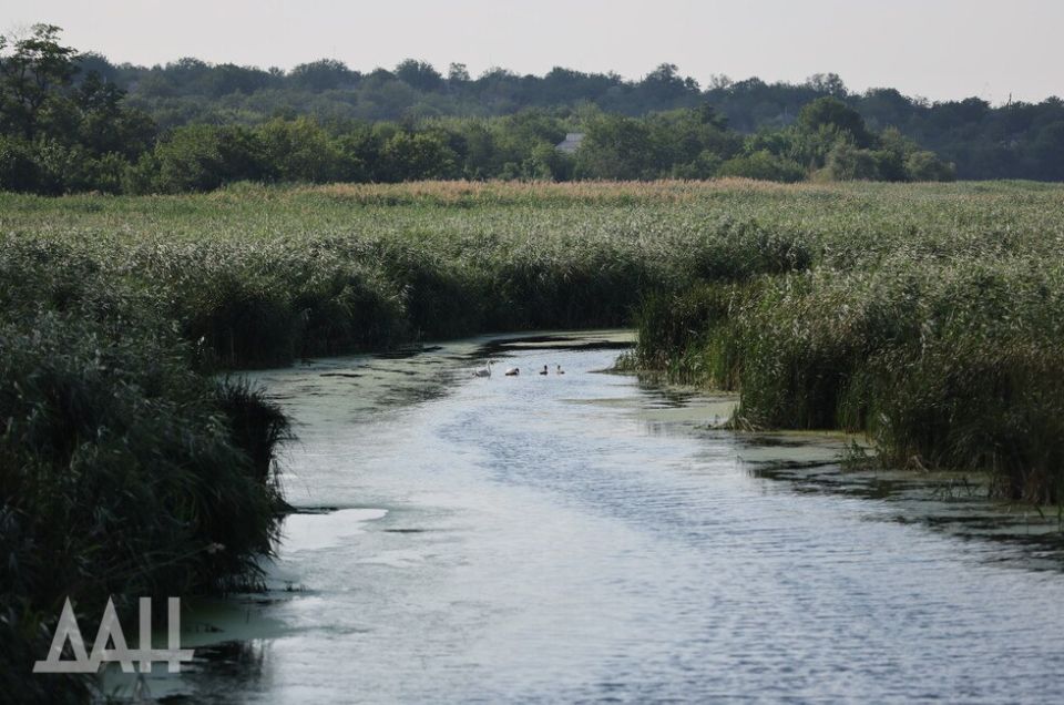 � ��� �������� ��������� �������� ��� ����������� ���������� ��������� ���������