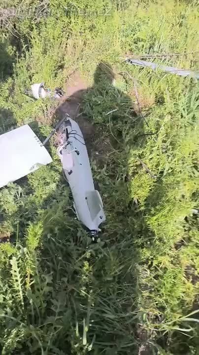 �����. ��� 2025 �������� �������