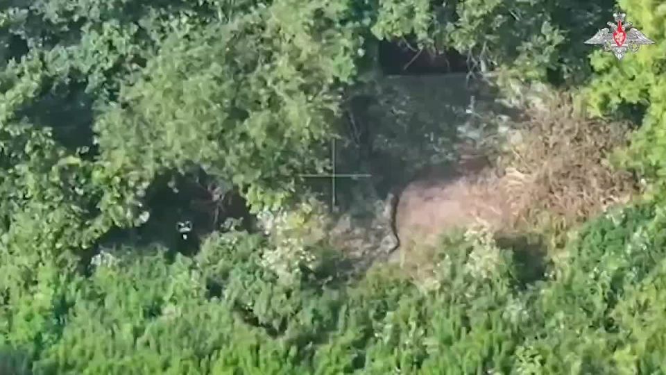 На Красноармейском направлении освобождены населенные пункты Новоэкономическое и Зверево Донецкой Народной Республики