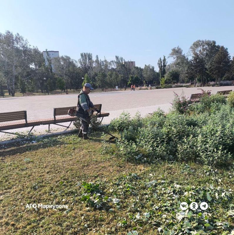 «Зеленстрой» благоустраивает парк имени Гурова