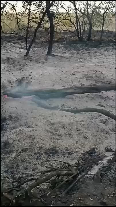 ������ �������: �������� ���� � ���������� ������������� �� ����-�������� �����������