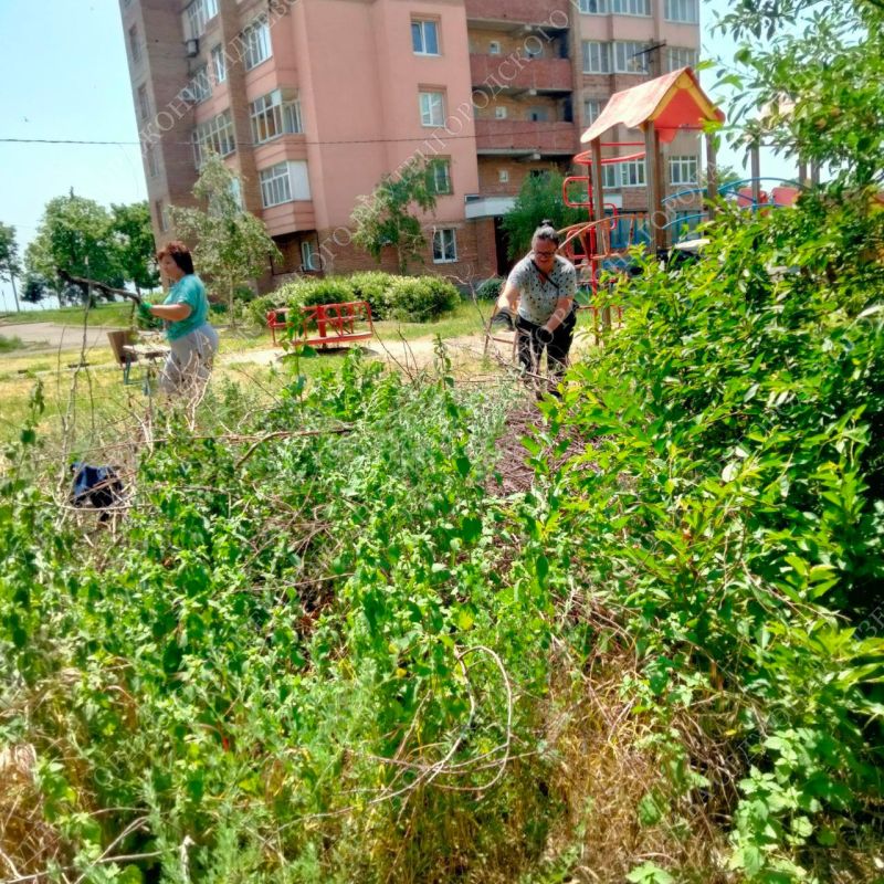 Чистота города – наша общая ответственность!