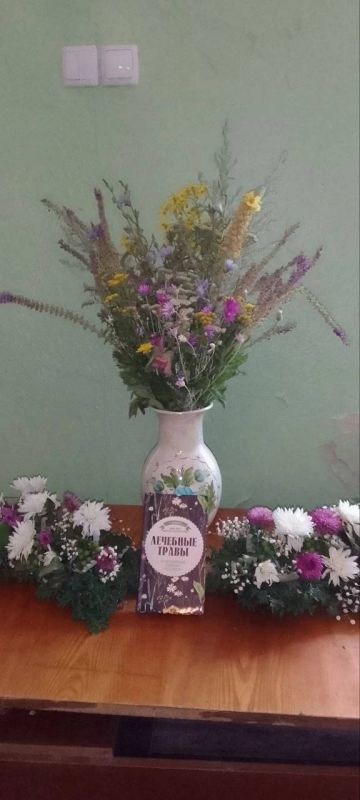 Пользователи Демьяновской сельской библиотеки провели познавательный час «Лекарственные растения нашего края» на территории села