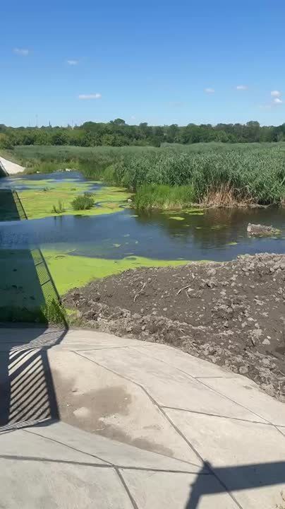 Дмитрий Огилец: Очистка устья р. Крынка продолжается!!