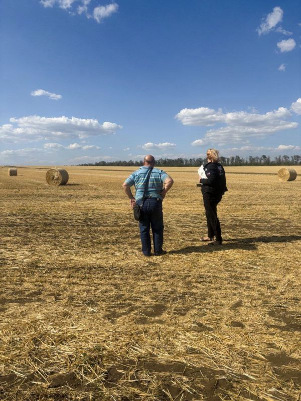 Министерство проводит работу по контролю над использованием земельных участков