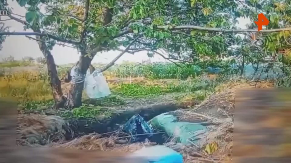 Минобороны показало кадры освобождения села Зверево в ДНР