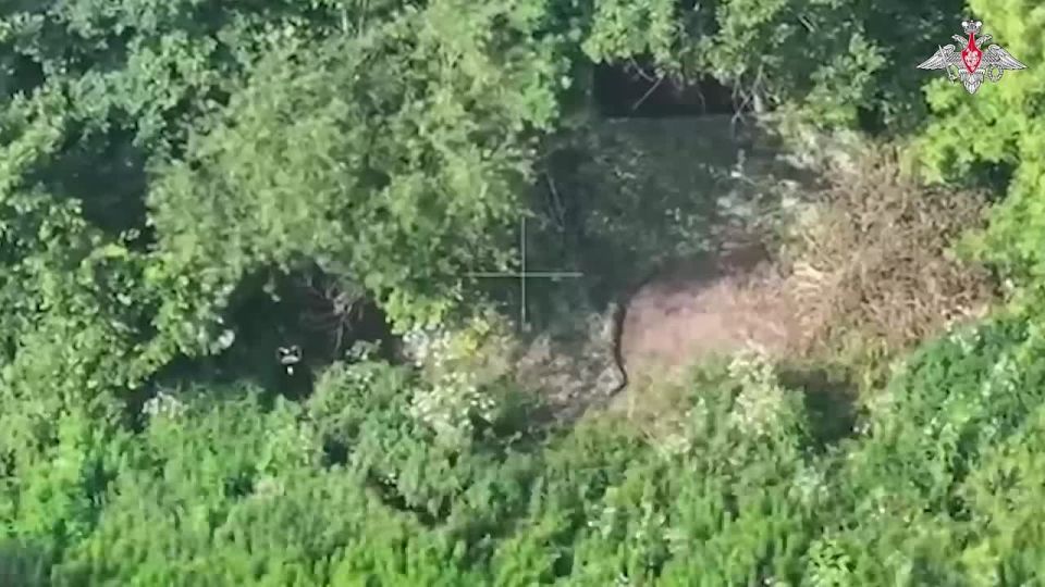 Точные удары беспилотников срывают планы противника