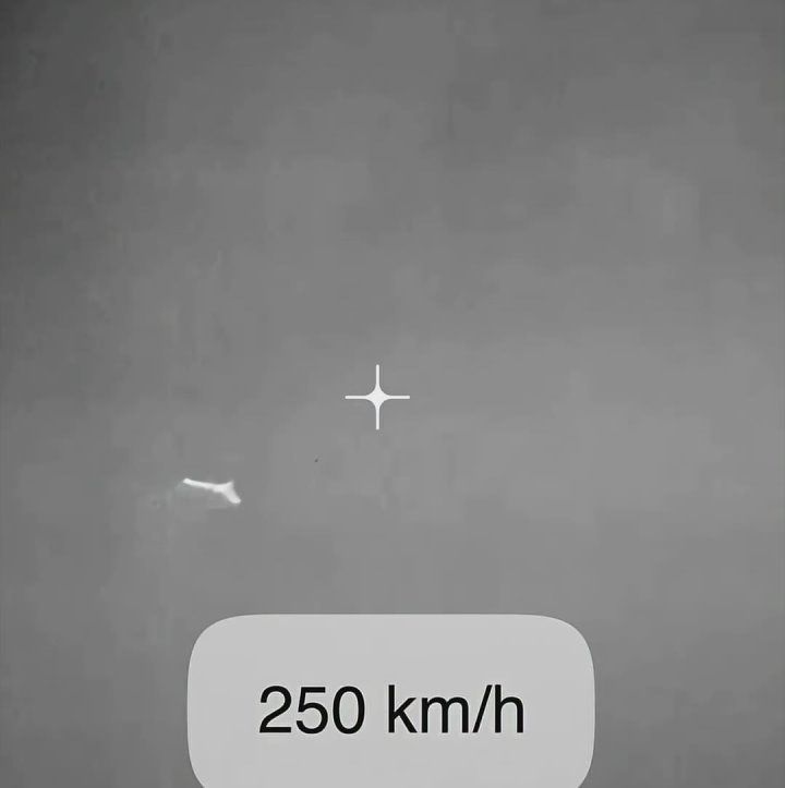 Франция разработала дрон-перехватчик