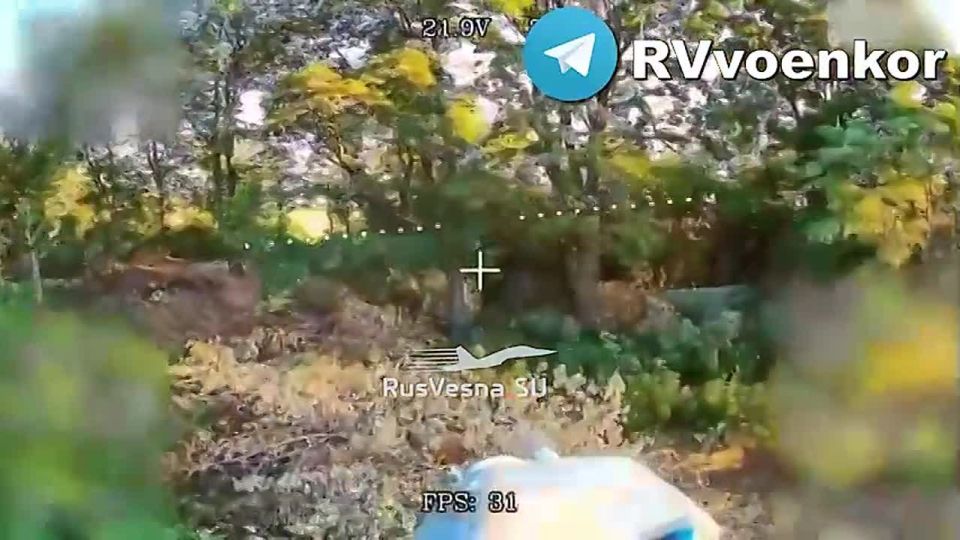 Ожесточённые бои у Покровска: «тважные» продолжают перемалывать личный состав и технику ВСУ