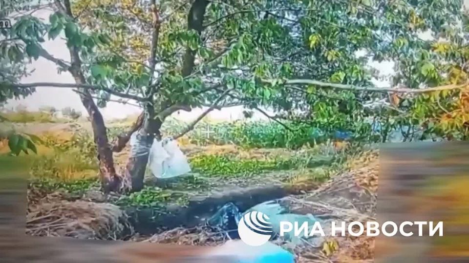 Кадры освобождения Зверево в ДНР публикует Минобороны России