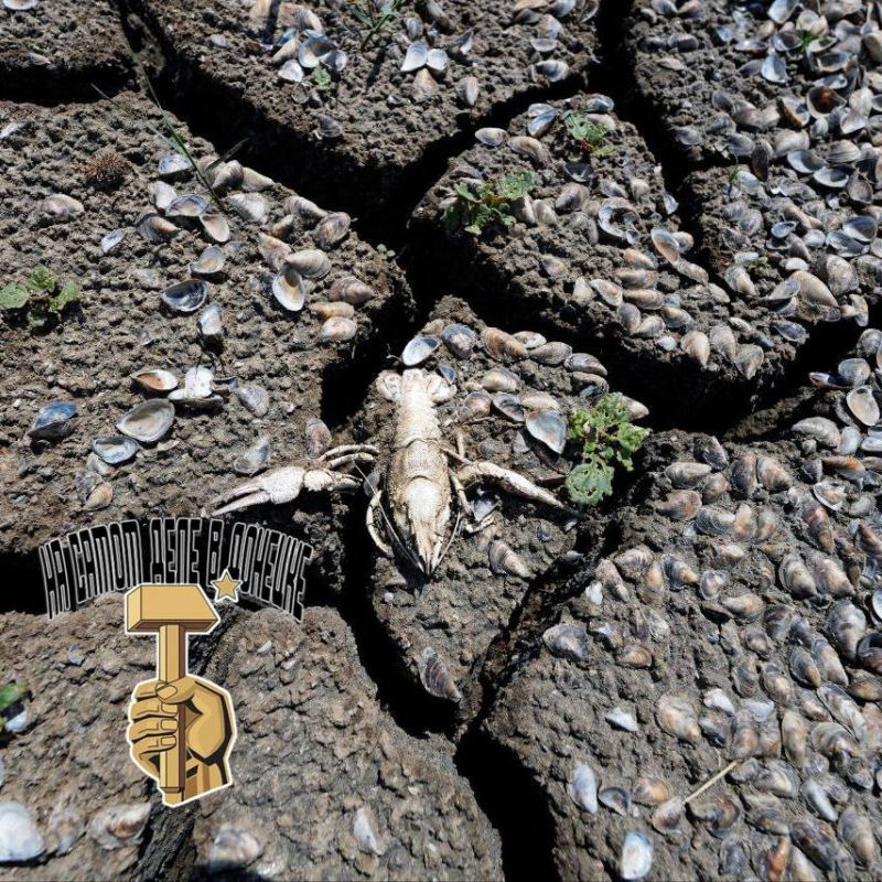 Вода уходит. Старокрымское водохранилище, единственный источник воды для полумиллионного Мариуполя, обмелело на 70–75% На месте былого зеркала воды — лунный пейзаж: трещины в метровой грязи, тухлая рыба и раки