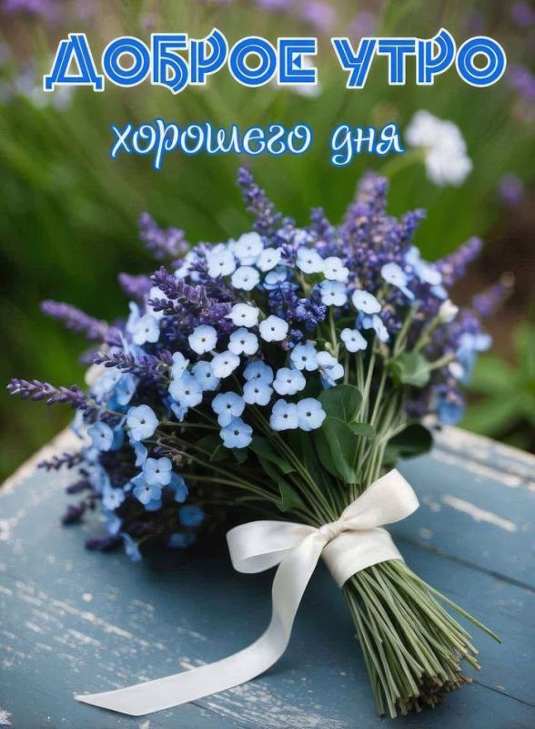 #доброе_утро