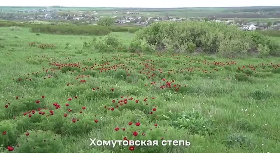 Что ты знаешь об истории своего края?