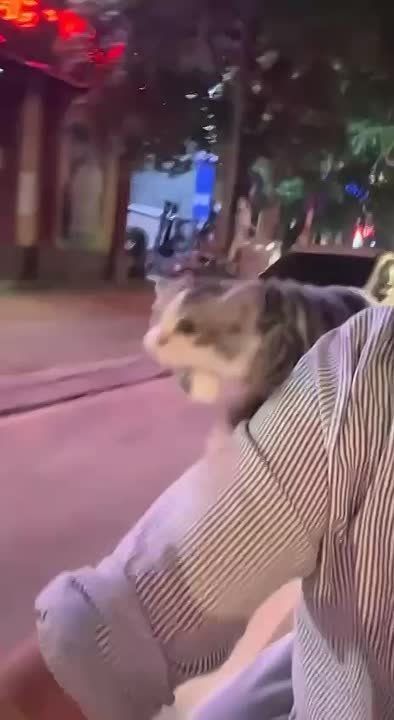 Лети на крыльях ветра. Объявления работа Купи/продай авто Написать в Блокнот