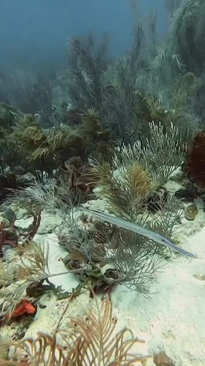 Спокойной ночи, Мариуполь!